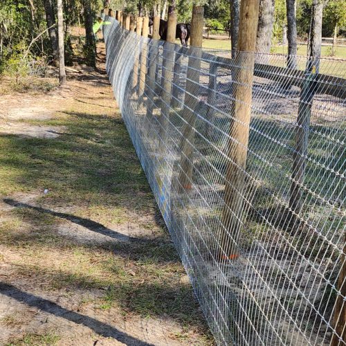 6-foot-fence-with-barbwires-on-top-dunnellon-95th-st (2)