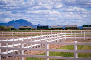 Picture of Neighborhoods Fencing