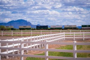 A white ranch-style fence runs across a field with a freight train and mountains in the background.